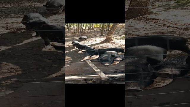 1000000546.mp4