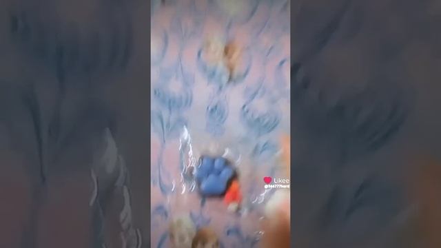 Like_7446104756977588276.mp4