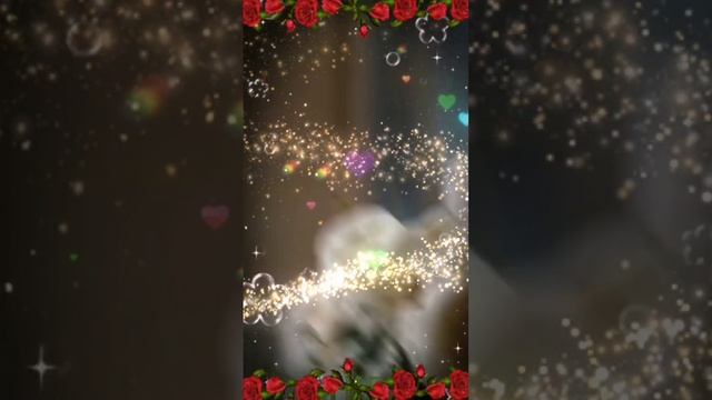 lv_0_20241209103042.mp4
