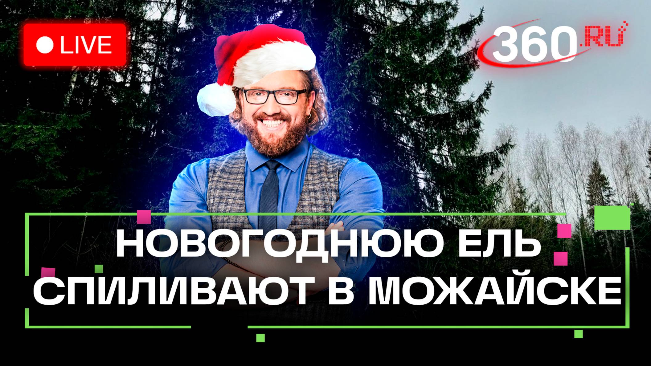 Главную новогоднюю ель России спилят в Подмосковье. Трансляция