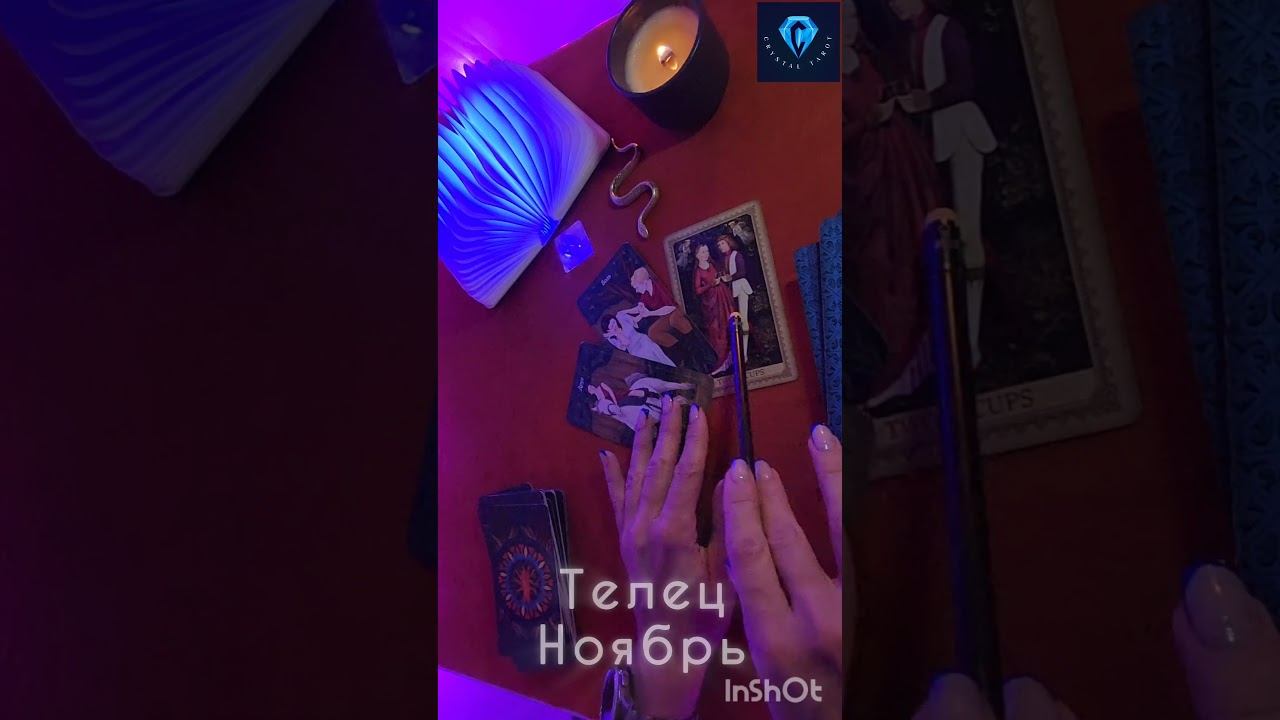 Телец Ноябрь  #tarot #таролюбовь #таро #тарогороскоп #tarothoroscopes #тароонлайн #тарорасклад