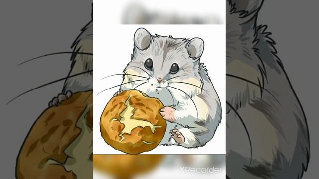 вот вам хомки