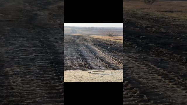 Специальная военная операция