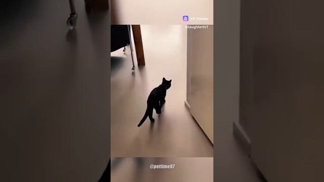 юмор