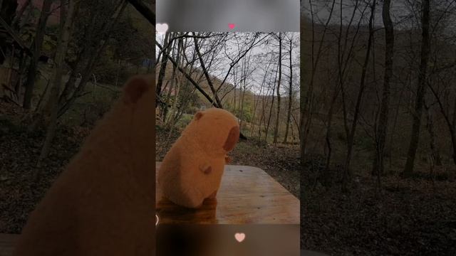 БаБуличка на отдыхе