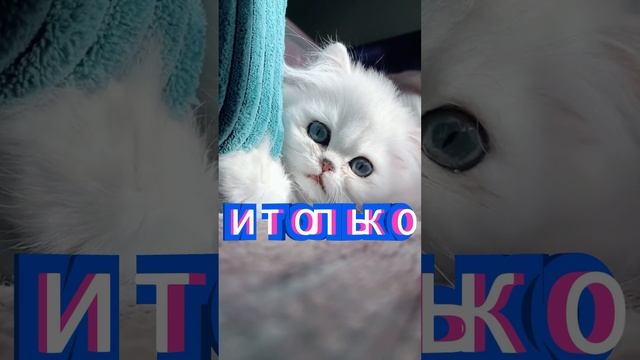 По поступкам видно как тебя ценят