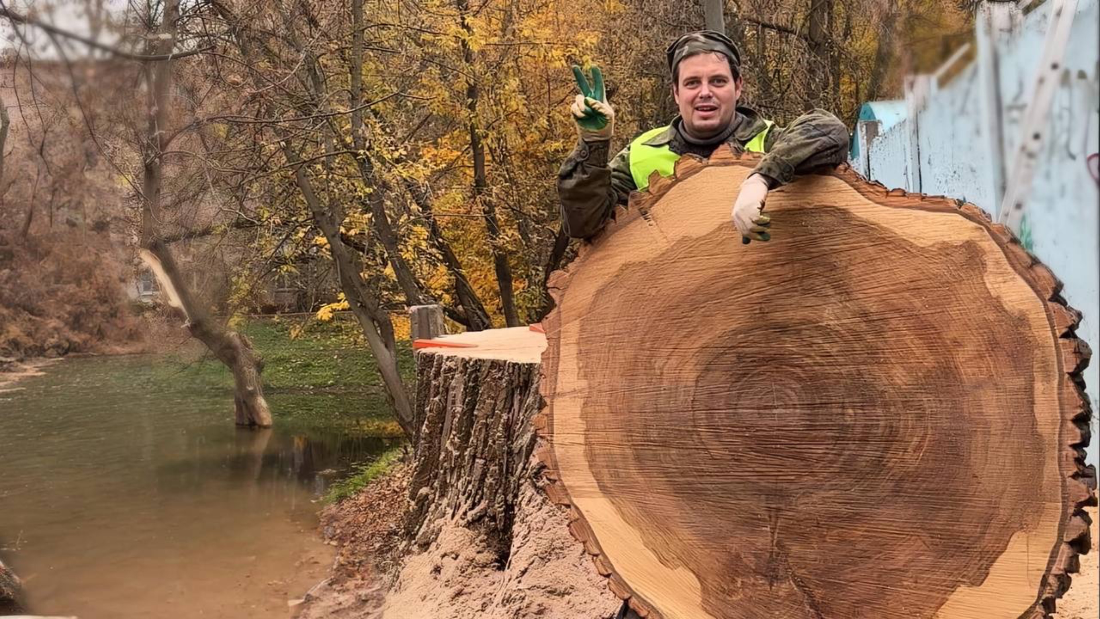 И вновь ОГРОМНЫЕ спилы!