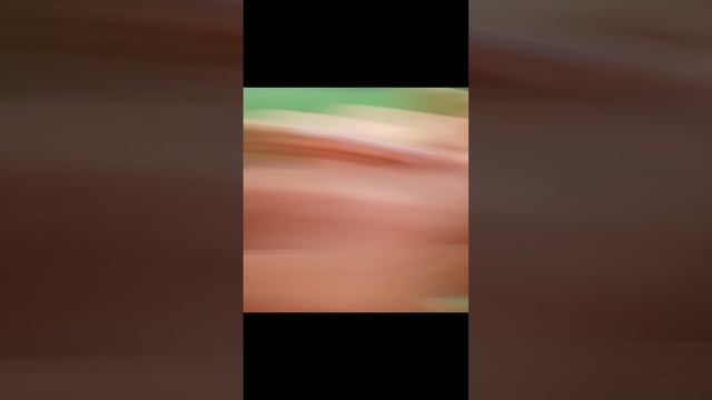 Ятам