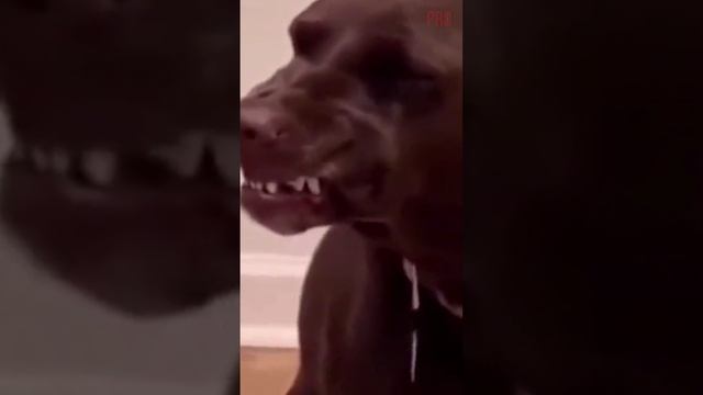 Опасно так