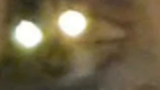 Cat's eyes watching about Orbs. Глаза кошки наблюдающей за Орбами.