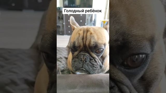 Голодный ребёнок