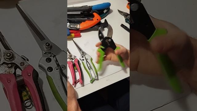 1000016134.mp4