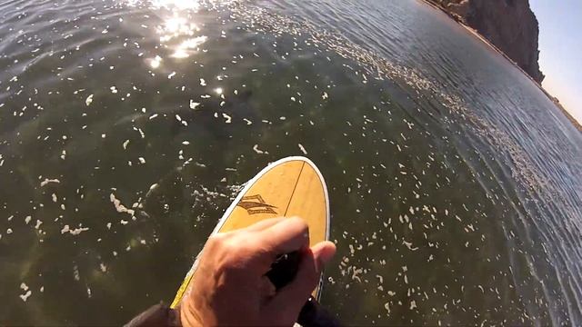 Sting Ray  at Morro Bay