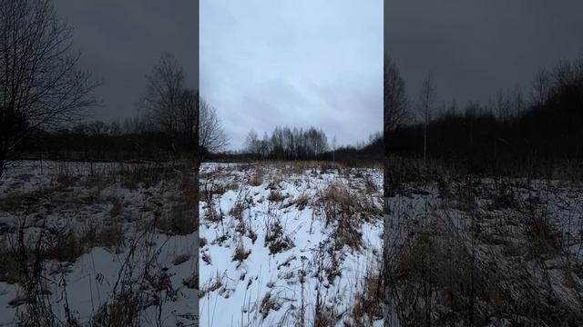 Участок 10 соток промназначения в дер. Следнево Владимирской обл.