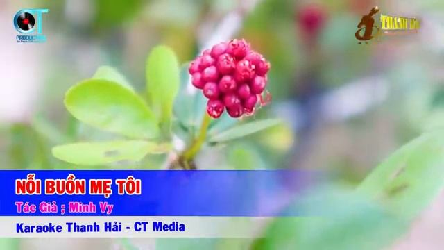 Karaoke Nỗi Buồn Mẹ Tôi Tone Nữ