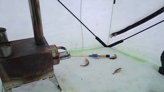 Вот и я поймал окуня.