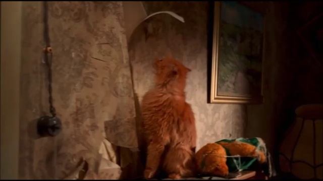 Про кота.