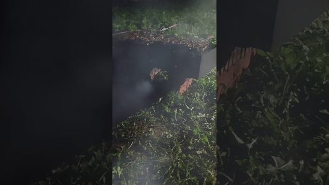 Вечерний шашлычок