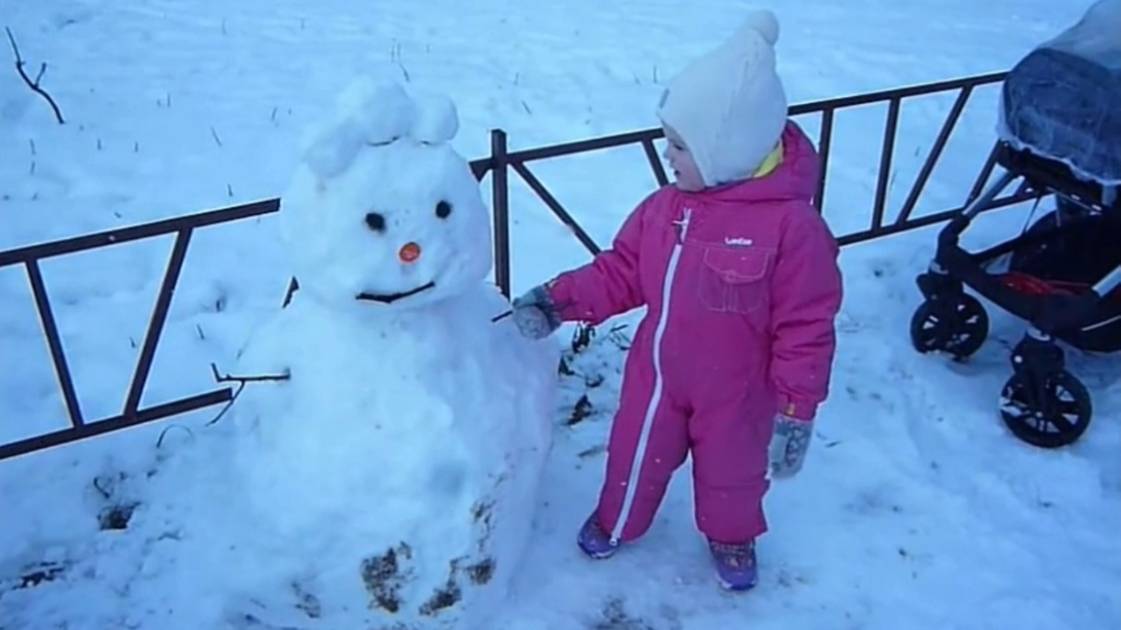 Слепили Снеговика из Снега. Снеговик Почтовик