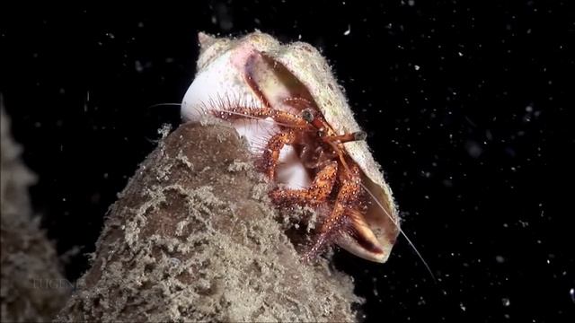[4K] Музыка - Красивый ОКЕАН, Шикарная Музыка !!! НОВИНКА