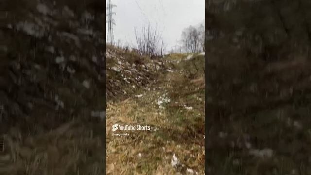 Ох уж эти детки и их шалости