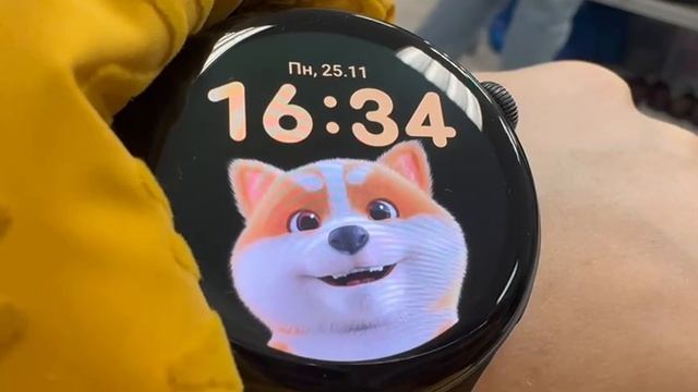 Анимация vivo Watch 3: щенок Chai Chai
