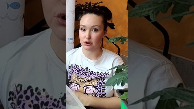 🌱 Как правильно питать сеянцы? Узнайте секреты здорового роста! 🌿
