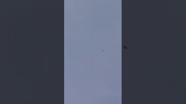 Что значит голубятник ни как не успокоится