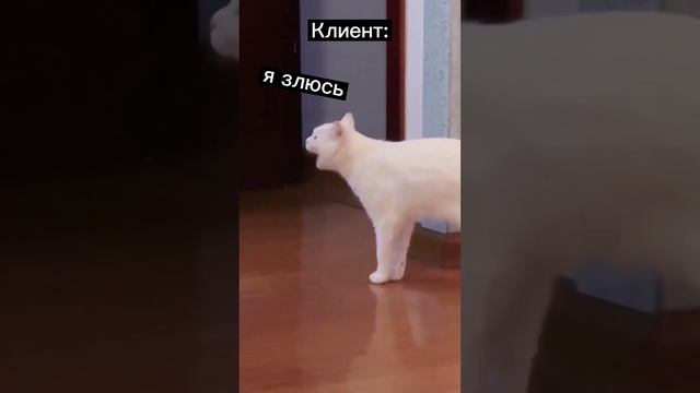 Выразите эмоции