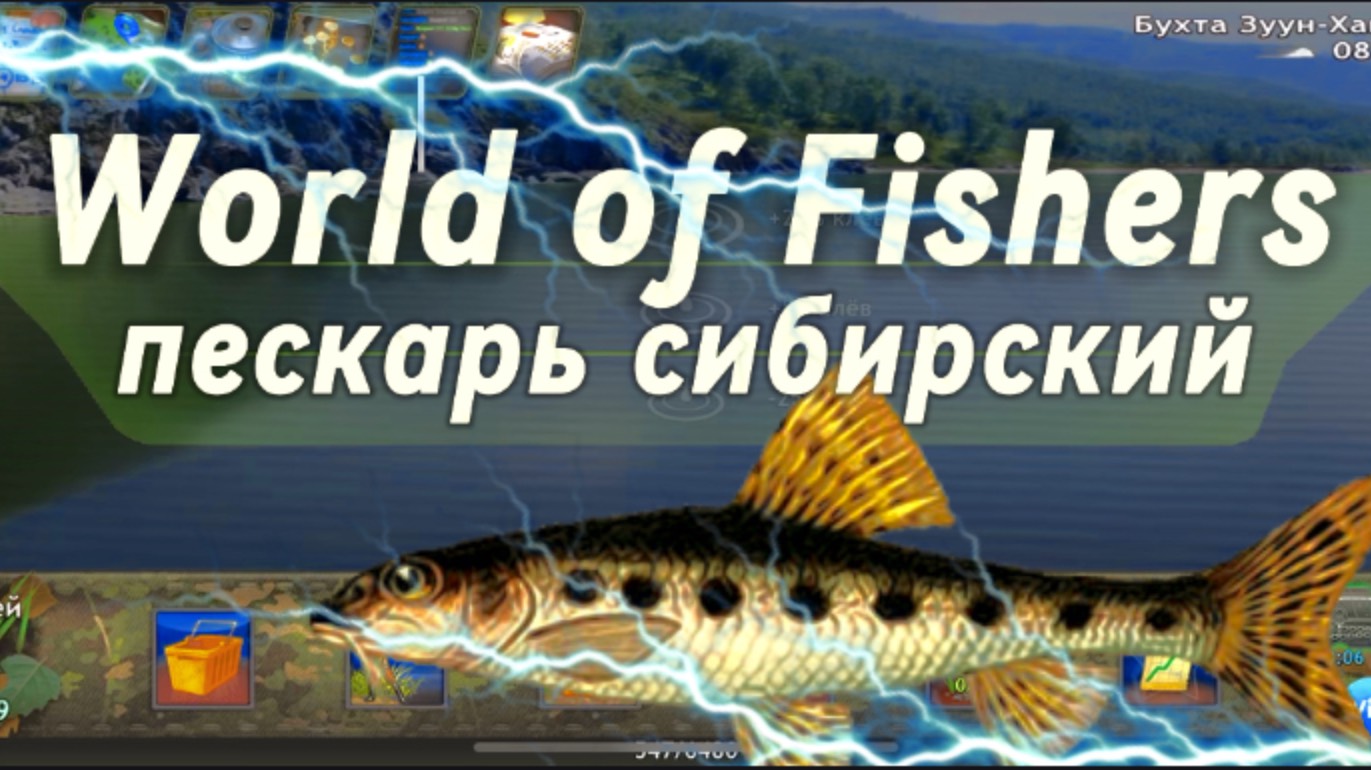 World Of Fishers | Пескарь сибирский без прилова | Как, где и на что выловить? | Игра рыбалка.