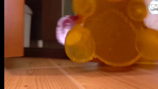 желейный медведь Валера и желтобрюх