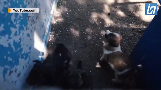 Жаңалықтар 09.10.2020