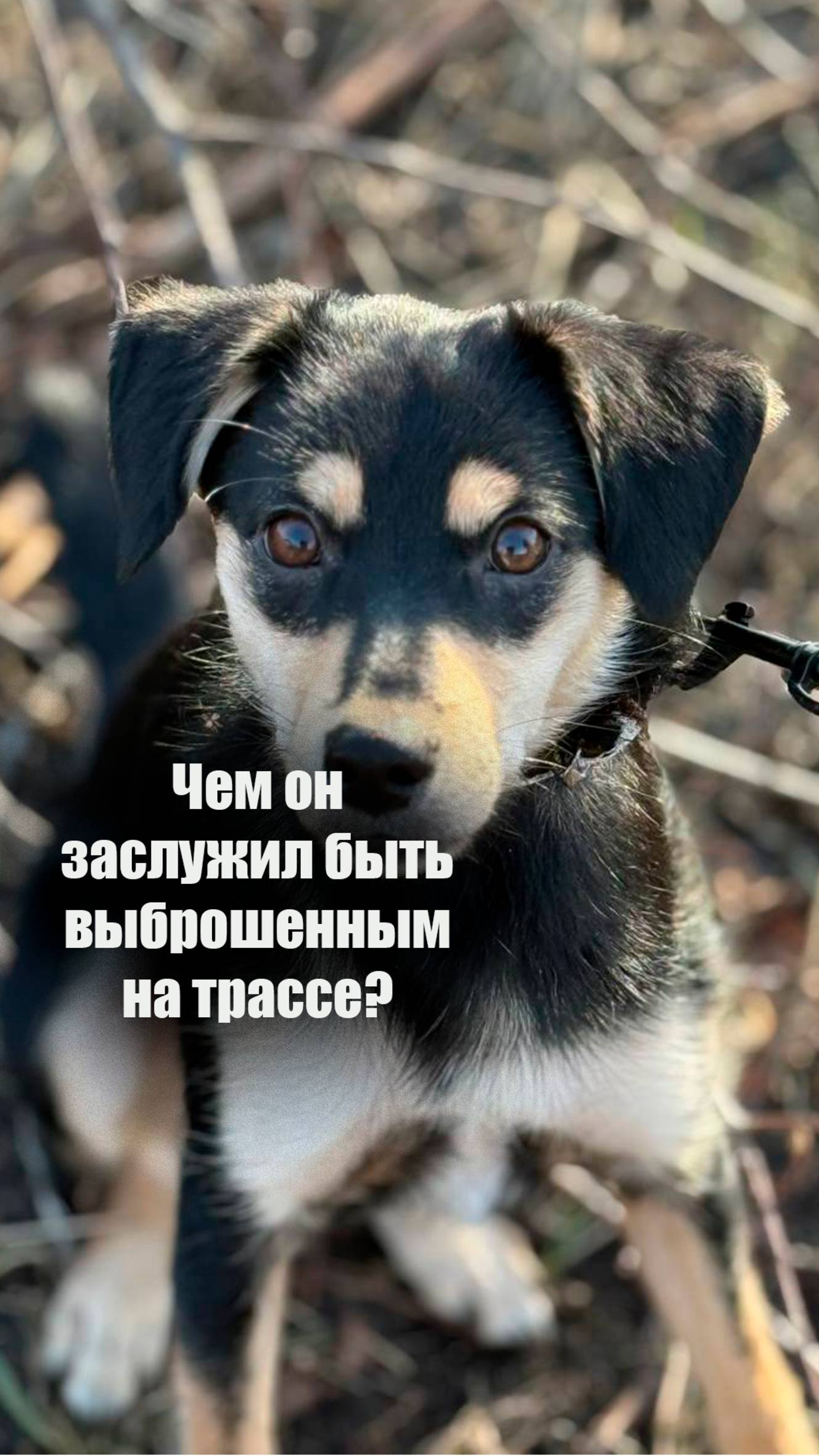 Шурик! Совершим ЧУДО вместе ❤️