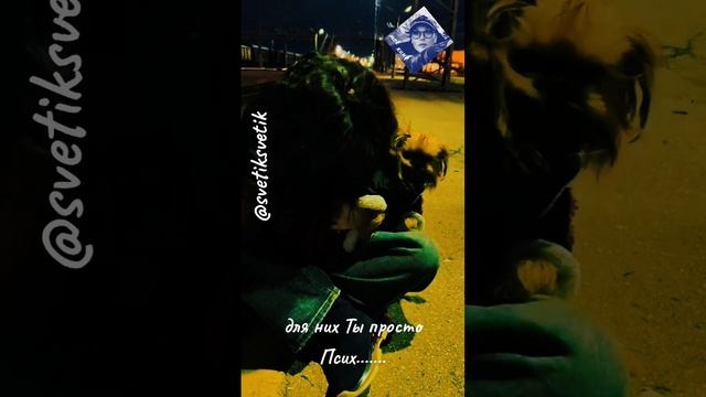 1000013204.mp4