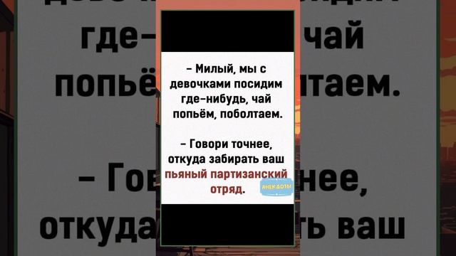 Пьяный партизанский отряд