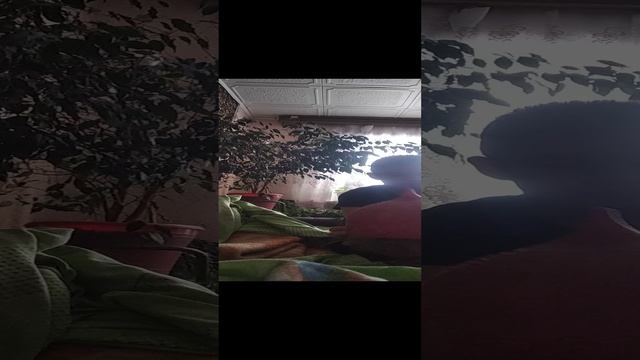 VID_20241210_120229.mp4