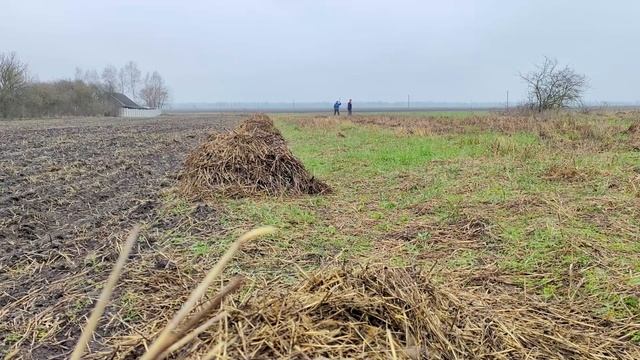 Готовим поле к весенней посадке.