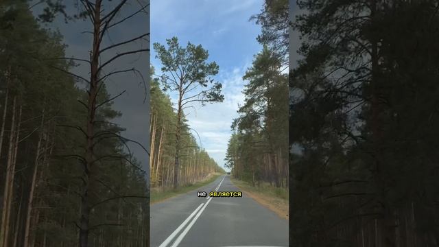 Про сокращения и ценность сотрудников. Снова #кадры #бизнес #предпринимательство #работа #персонал