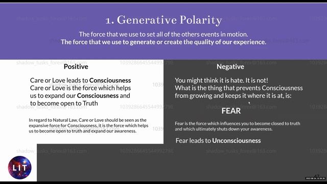 4 Generative Polarity