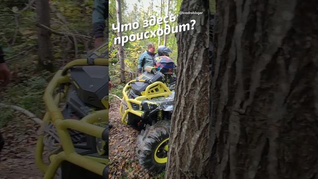 Что здесь происходит? #atv #aodes #квадроциклы