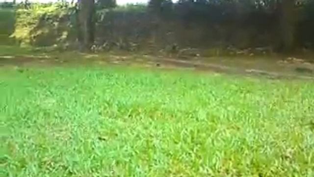 Ultimate Mode C903 v9.0 - QVGA - Sample Video [3] - Auto-Focus™