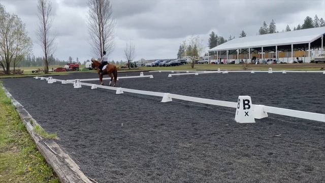 Paws Up Summer 2023 Wrangler Application