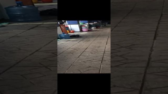 VID_20231202_Currancy exchange