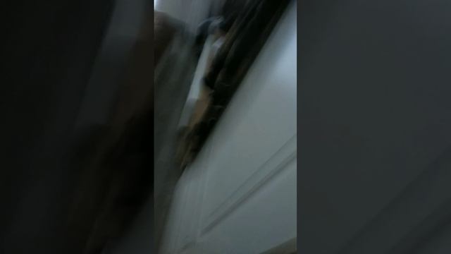 жизнь с ростом два метра