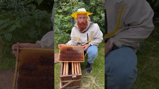 А ты точно знаешь, как производится мёд?