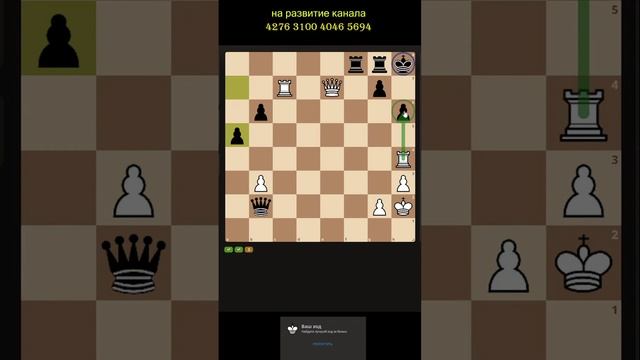 Шахматы. Мат в два хода #chess #шахматы #shorst 10.12.24_1
