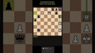Шахматы. Мат в два хода #chess #шахматы #shorst 10.12.24_1