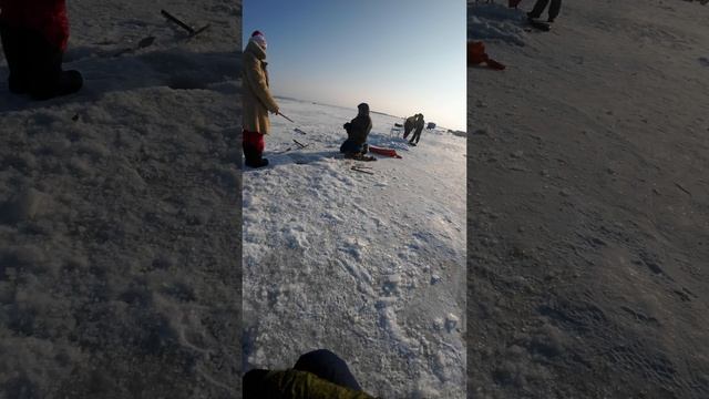 Зимняя рыбалка на щуку