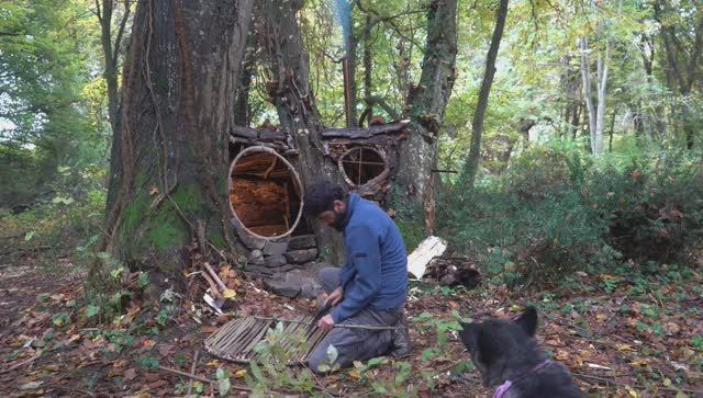 3 Days SOLO SURVIVAL CAMPING In RAIN; Building Warm BUSHCRAFT SHELTER. TREE House. Fish Cooking