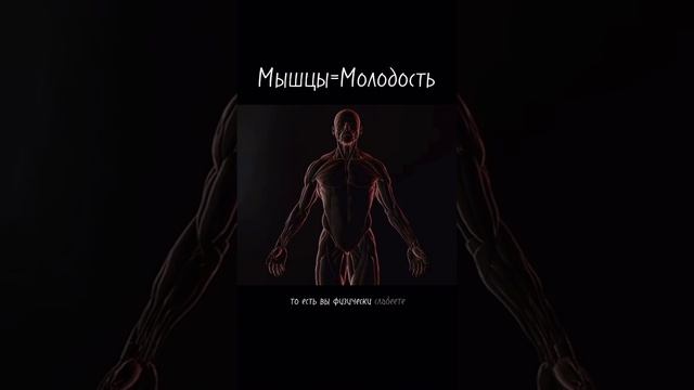мышцы=молодость😨